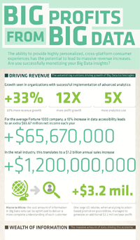 Big Data Big Profits Infografics